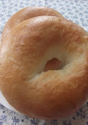 A picture of Tofu Bagel.