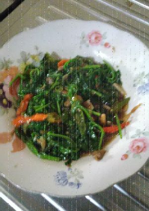 Foto resep 'Oseng Daun Kelor'