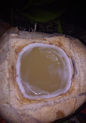 Foto resep Puding kelapa