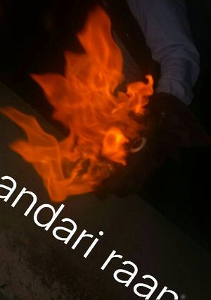 A picture of Sikandari raan.