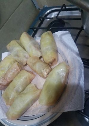 A picture of Dolma.