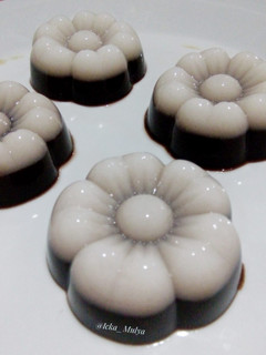 Foto resep Puding coklat #30
