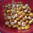 #1 bolu kering mini paket hemat