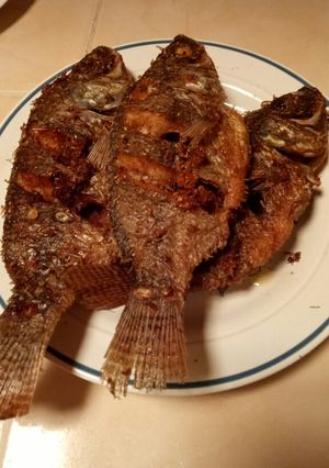 Foto resep Ikan mujair goreng kriuk