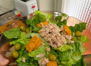 Una foto de Ensalada con atún y romesco