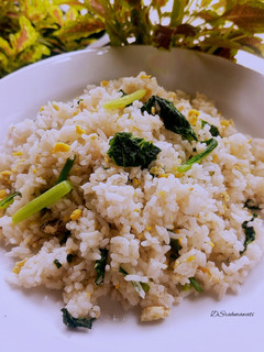 Foto resep Nasi goreng sat set