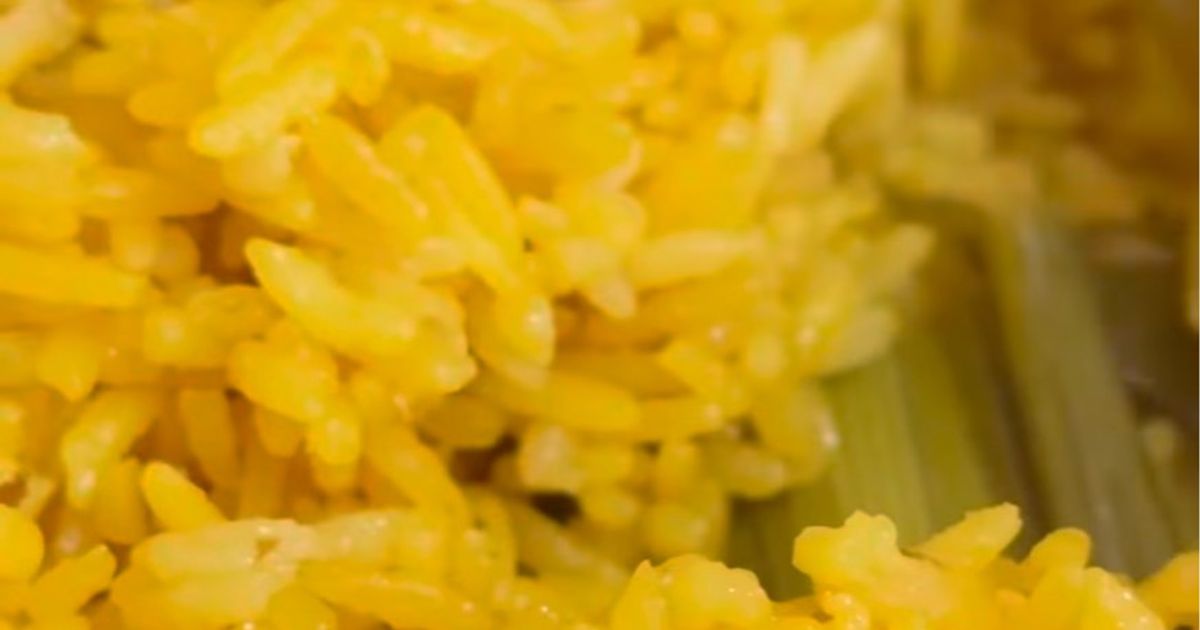Nasi kuning magicom