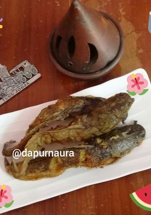 Foto resep Lele Goreng Simple