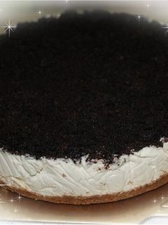 免烤起司蛋糕(低糖配方) 的食譜成品照片