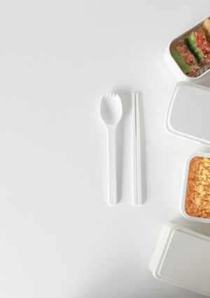 雞絞肉x雞蛋 兩種不同口味的便當風景 的食譜成品照片