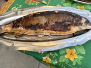 Une photo de marinade saumon