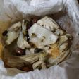 Finocchi al cartoccio al forno