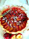 My Childhood Plum Tart