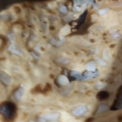 Onion tandoori Roti A picture of Onion tandoori Roti.