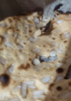 A picture of Onion tandoori Roti.
