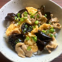 A picture of Pork, Black Fungus & Egg Rice Bowl.