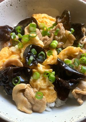 A picture of Pork, Black Fungus & Egg Rice Bowl.