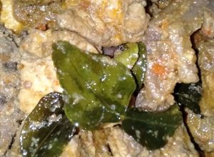 Foto resep Angsa tahu bumbu kuning pedas😋
