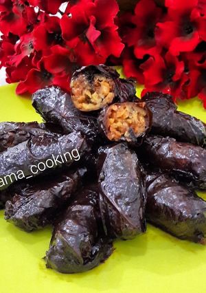 عکسی از دستور دلمه برگ مو جنوبی