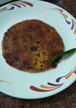 A picture of Yummilicious Carrot Paratha.
