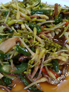 Foto resep Tumis Pedas Bunga Pepaya dan Teri