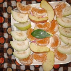 A picture of Fruit chat.
