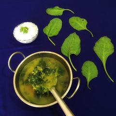 A picture of Dal Palak.