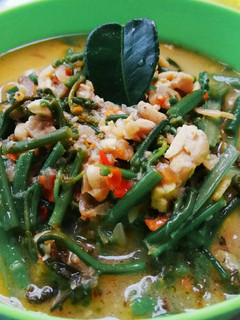 Foto resep Sayur pakis masak santan