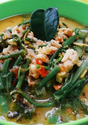 Foto resep Sayur pakis masak santan