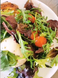 Foto de Burrata com Salada