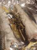 Róbalo mar y tierra