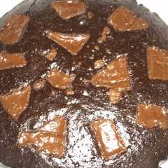 Una foto de Brownie "Valor"