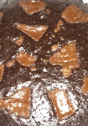 Una foto de Brownie "Valor"