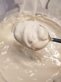 Una foto de Labne 2.0: Yogur Griego (Apto para Keto!)