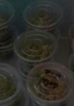 Foto resep Tape ketan daun katuk pakai presto