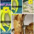 عشاق الفلفل (🌶🌶🌶)