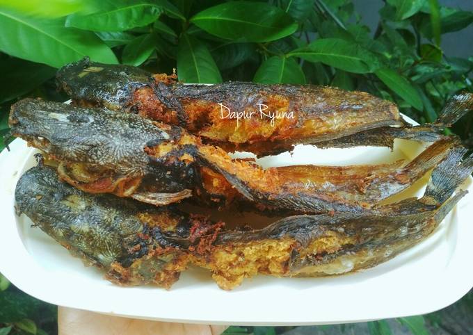 Standar Resep enak memasak Lele Goreng Garing yang enak