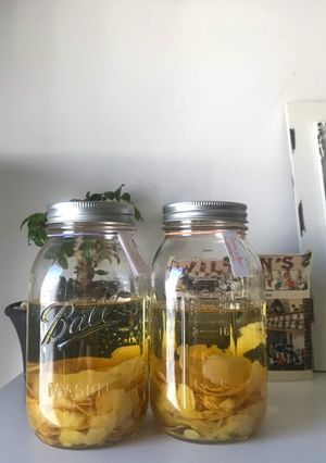 รูปของ เลม่อนเชลโล่🍋 Limoncello