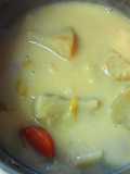 Winter Japanese Leek Stew