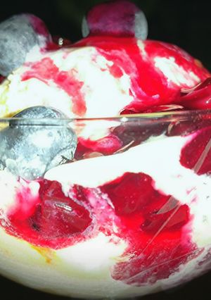 A picture of Mike's Easy Blueberry Drizzle.