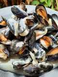 Moules marinières, sauce onctueuse 😊