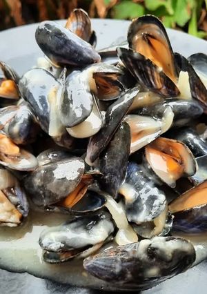Une photo de Moules marinières, sauce onctueuse 😊