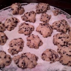 A picture of Victor's Microwave Oat and Chocolate Cookies.