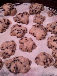 A picture of Victor's Microwave Oat and Chocolate Cookies.