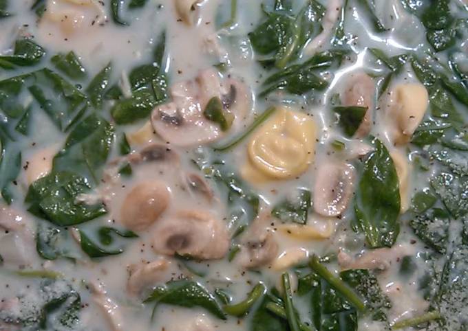 Recipe of Any-night-of-the-week Creamy Chicken Tortellini Soup