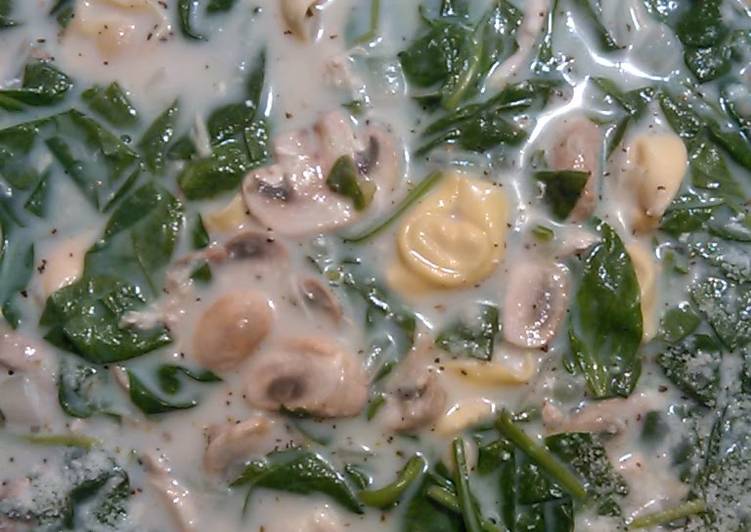 Recipe of Super Quick Homemade Creamy Chicken Tortellini Soup