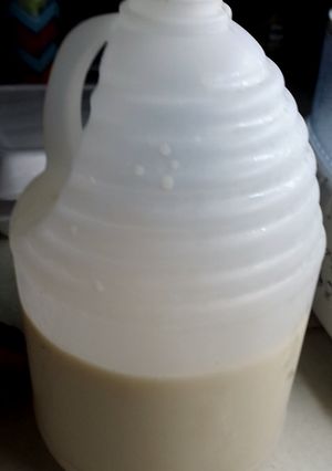 A picture of Homemade soymilk.