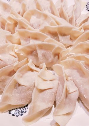 A picture of Our Family's Super Delicious Gyoza Filling.