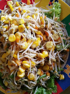 Foto resep Cah Tauge jagung