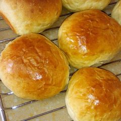 A picture of Buns.